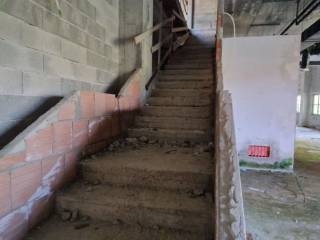 Scala