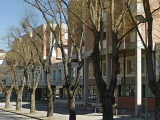 Zona