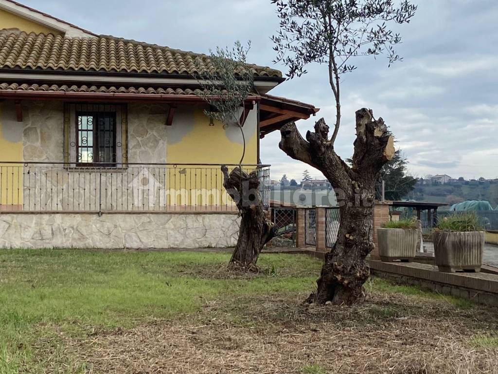 Terreno