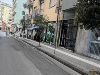 Zona