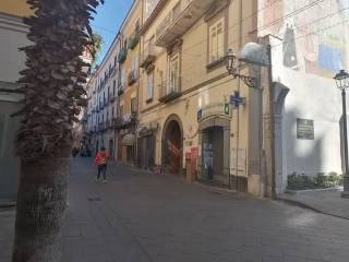 Zona