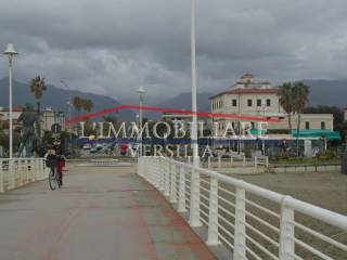 Zona