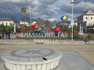 Zona