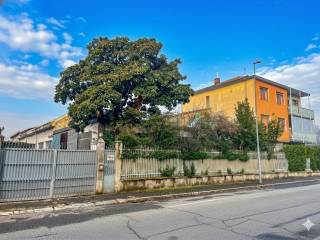 Zona