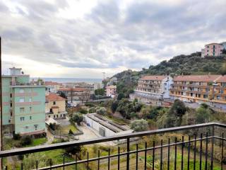 Vista