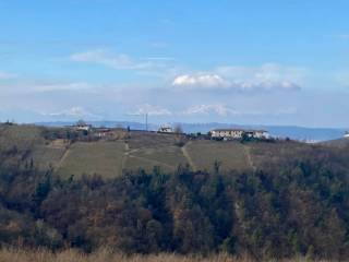 Vista