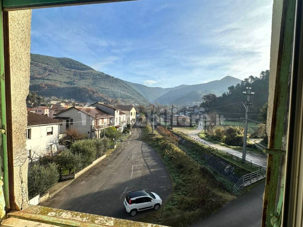 Vista