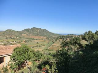 Vista