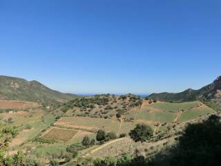 Vista