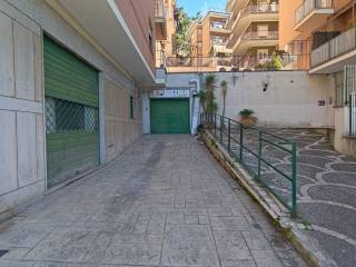 Ingresso
