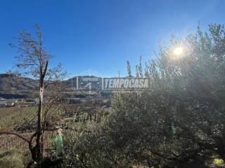 Vista