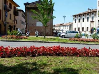 Zona