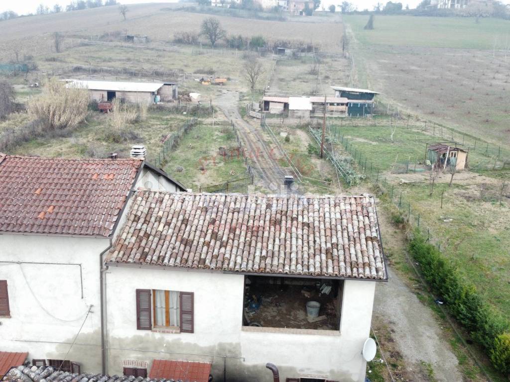 Vista
