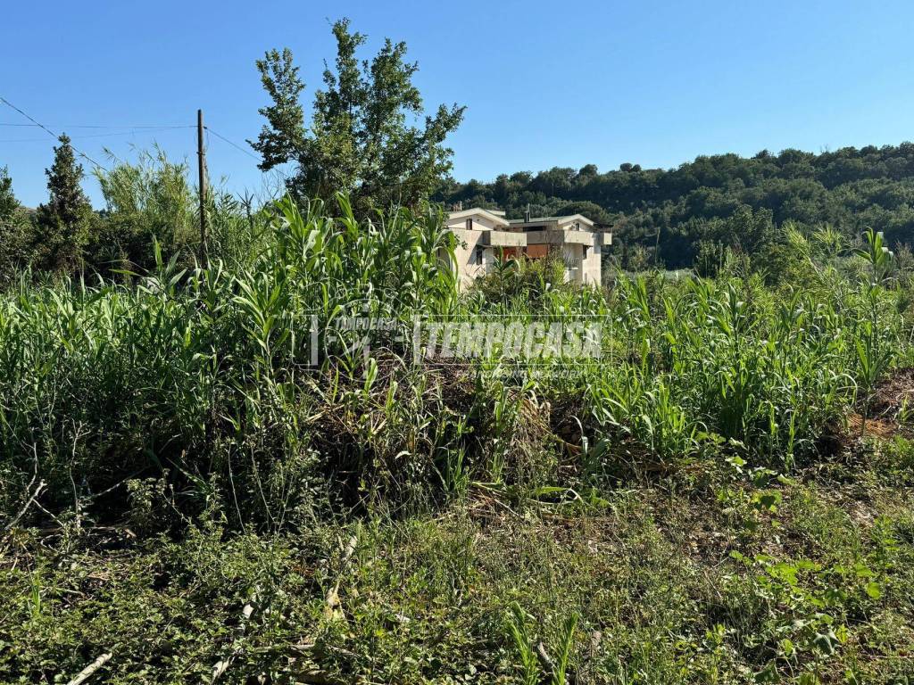 Terreno