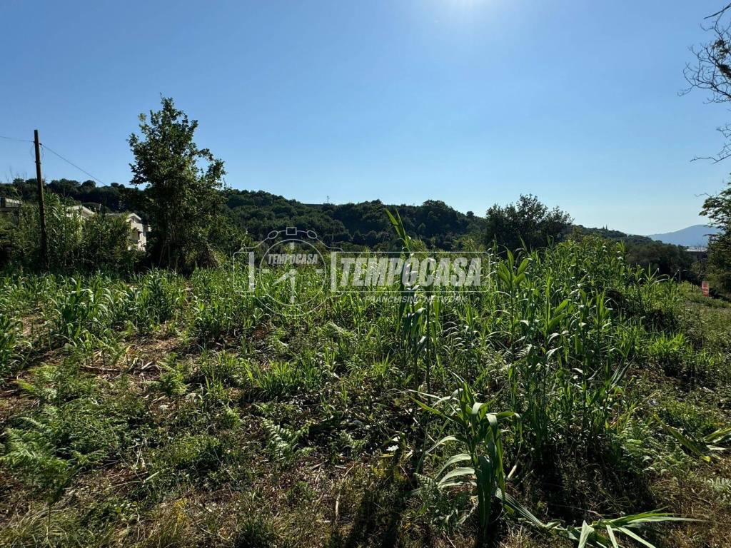 Terreno