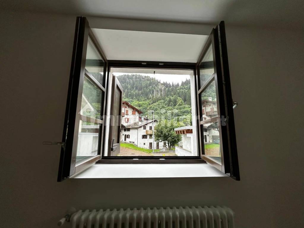 Vista