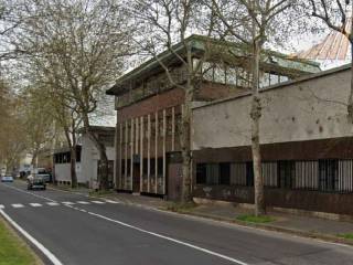 Zona