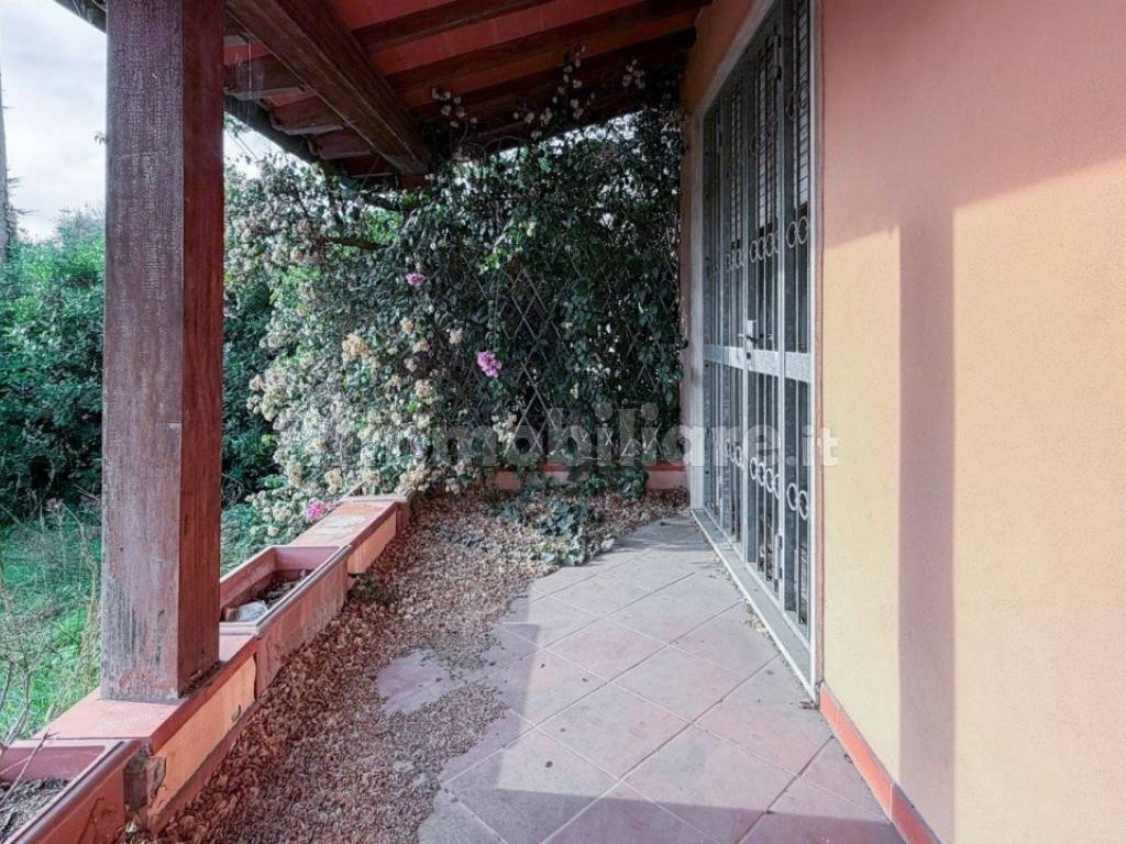 Giardino