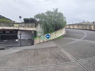Ingresso