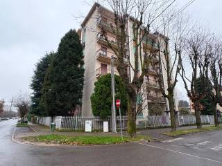 Zona
