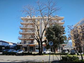 Zona
