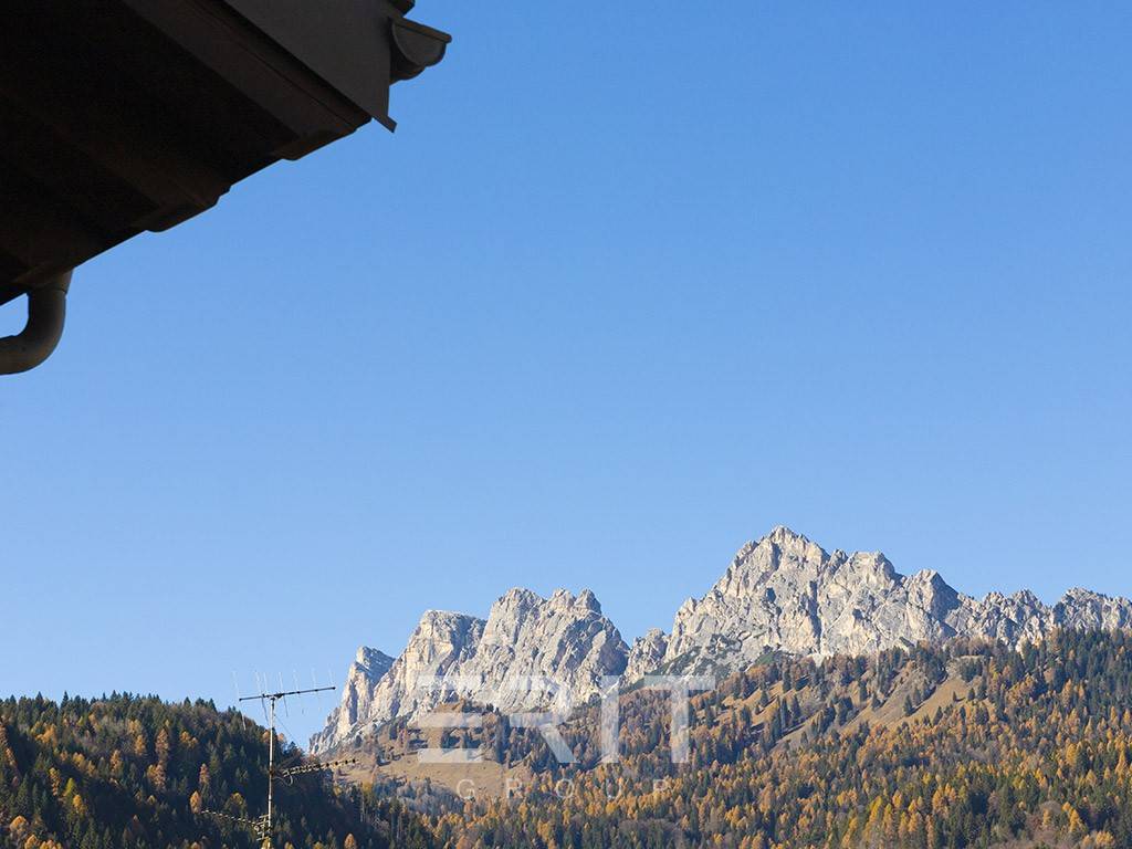 Vista