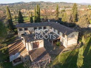Vista