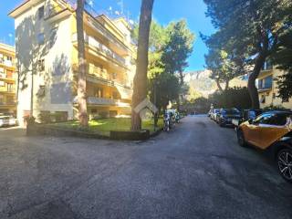 Zona