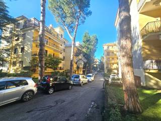 Zona