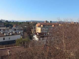 Vista