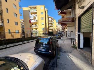 Zona