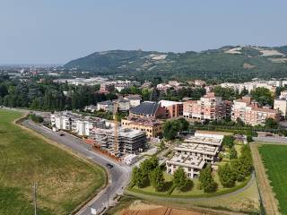 Vista