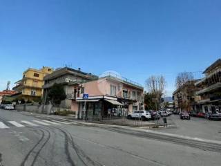 Zona