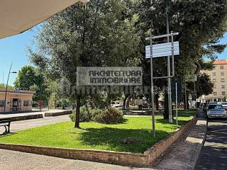 Zona