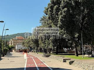 Zona