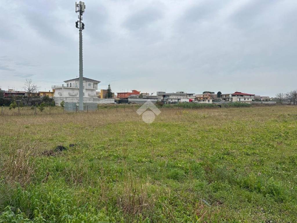 Terreno