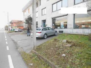 Zona