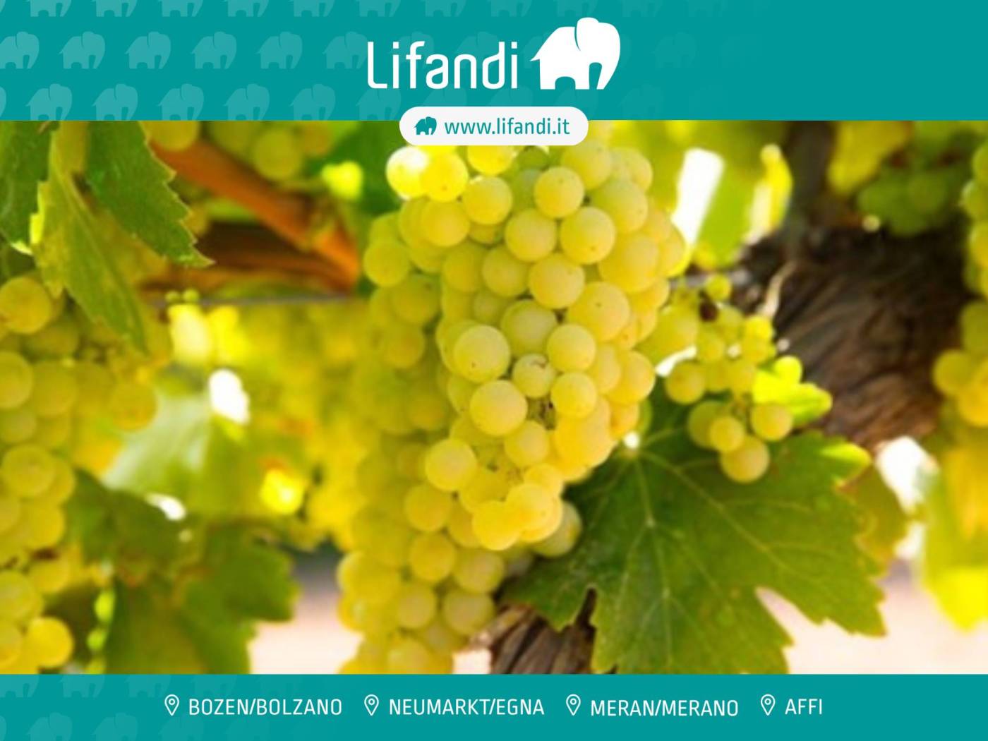 Rustico - Casale in vendita a Affi