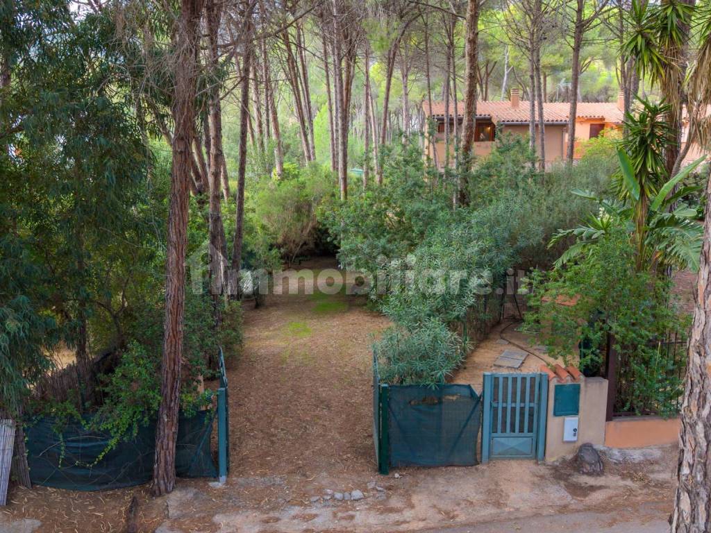 Giardino