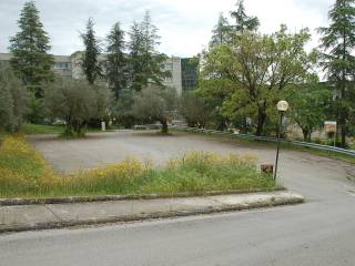 Zona