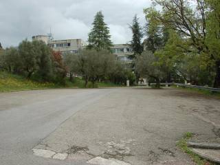 Zona