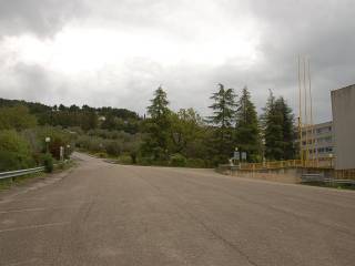 Zona