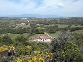 Vista