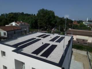 Vista
