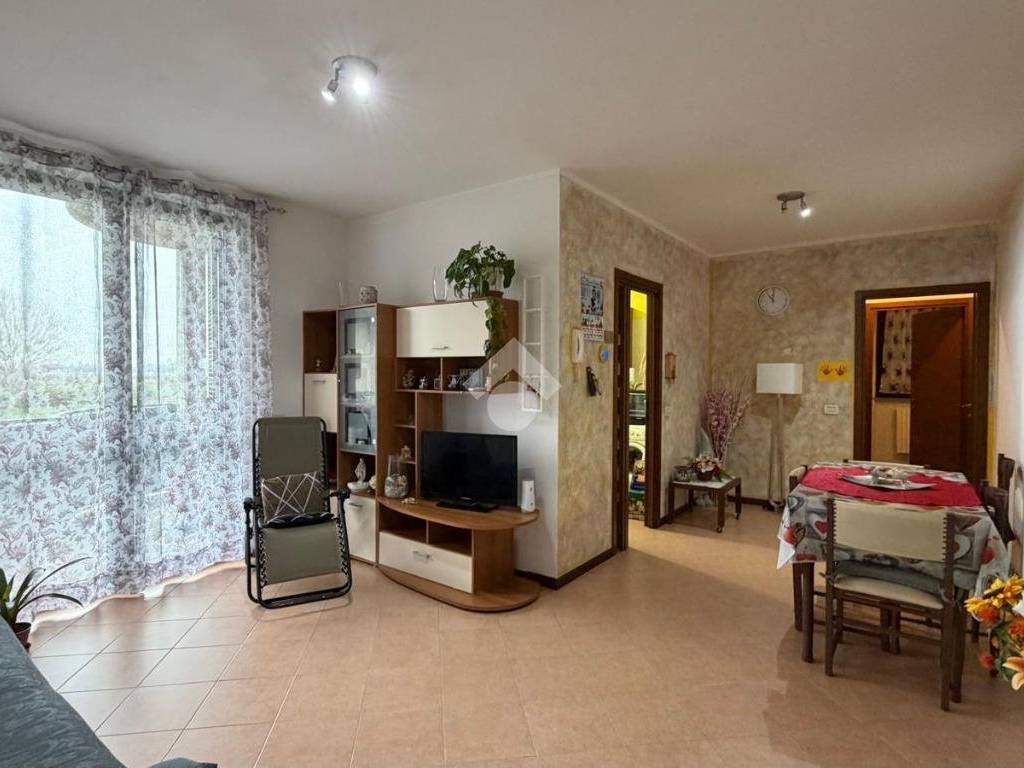 Salone