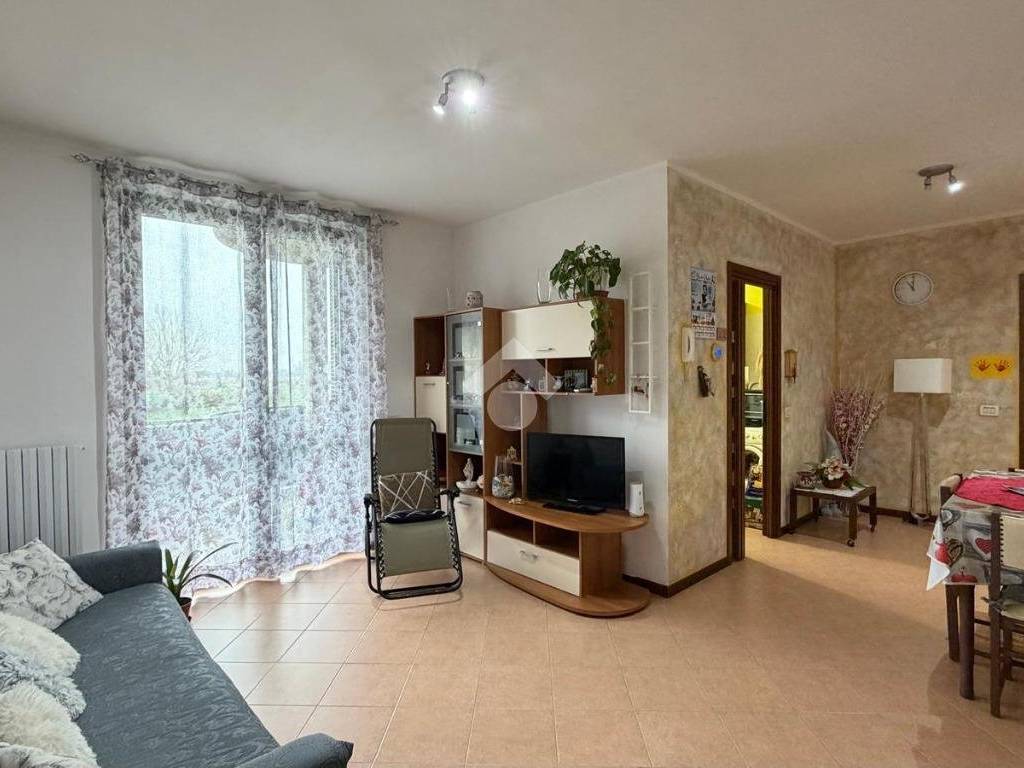 Salone