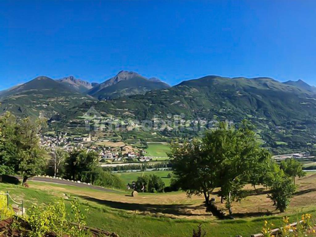 Vista