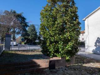 Zona