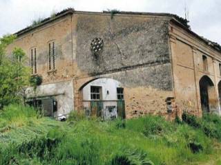 Zona