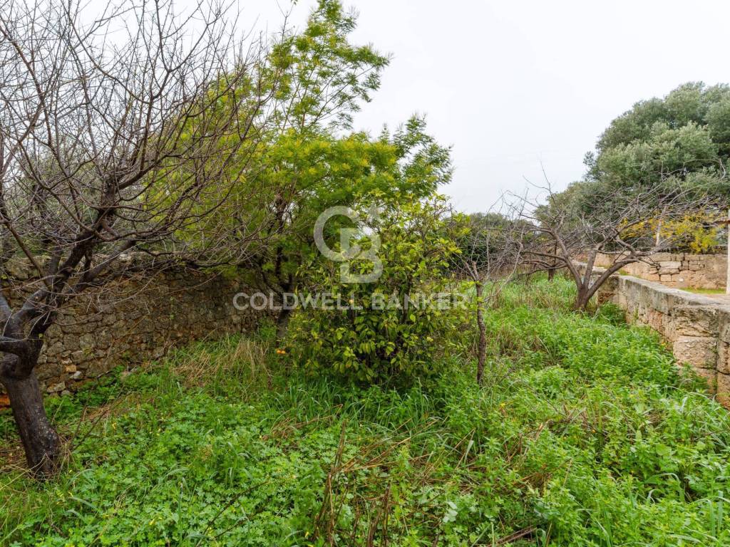 Terreno